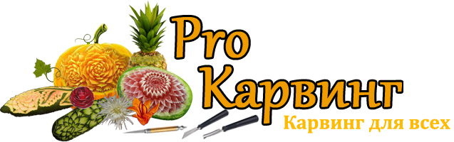 logo8